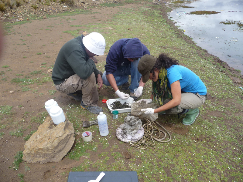 O023-2011 - Perú