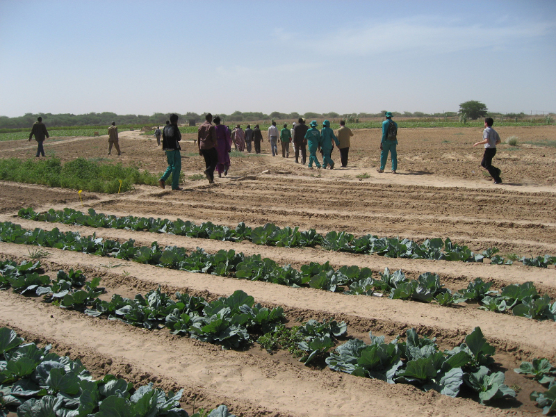 U013 - Senegal