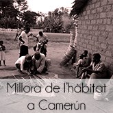 MilloradelhbitatalCamerun.jpg