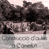 ConstruccidaulesaCamerun.jpg