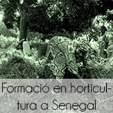 FormacienhorticulturaaSenegal.jpg