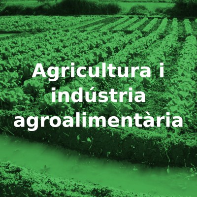 agricultura.jpg