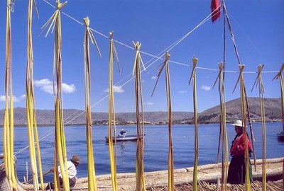 Treballar, desplaçar-se, viure sobre canyes