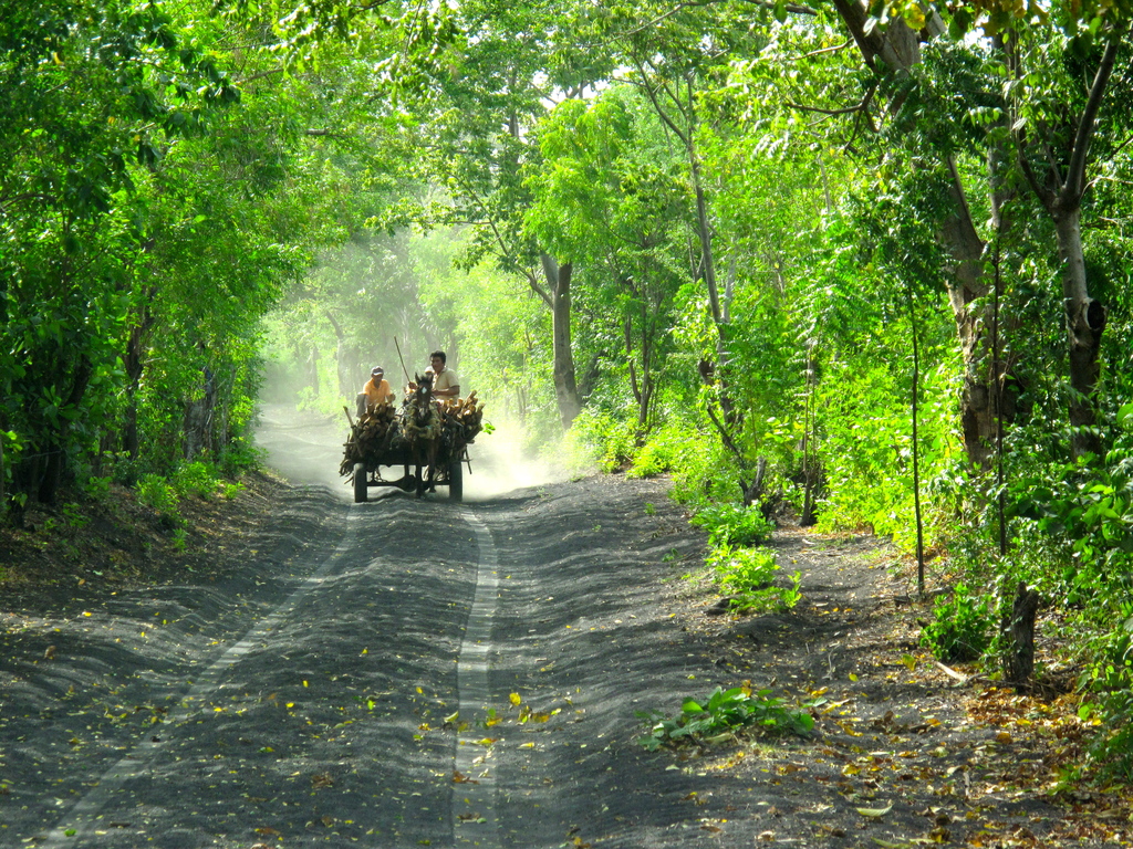 044 R3 Apostant pel futur 2014_07_ 775.jpg 044 R3 Apostant pel futur 2014_07_ 775.jpg