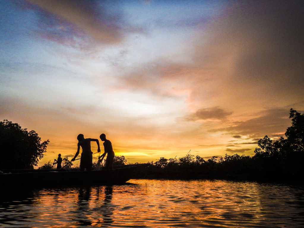 053 R3 Pescant entre manglars.jpg 053 R3 Pescant entre manglars.jpg