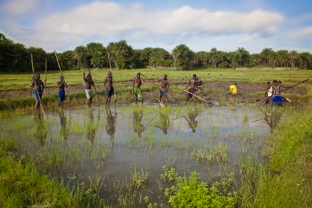 166 R1 Quan el treball es unio.jpg 166 R1 Quan el treball es unio.jpg