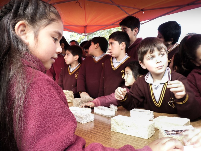 141P  Autoconstrucció i sostenibilitat a l'escola. Arnau Llasat