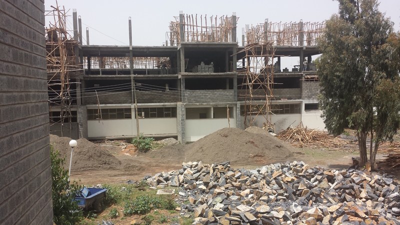 164P El campus del MIT. Joan Pallarès