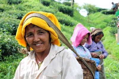 054R  El somriure com a antídot. Sara Llobera