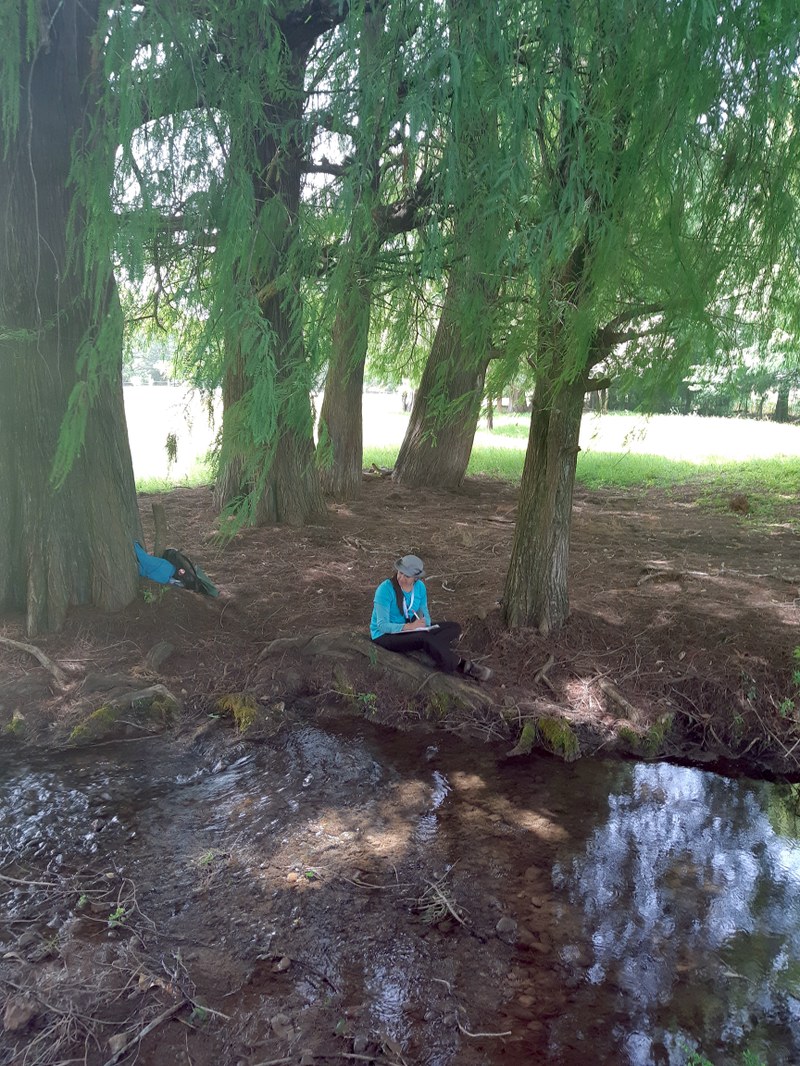 P005 Oficina de trabajo