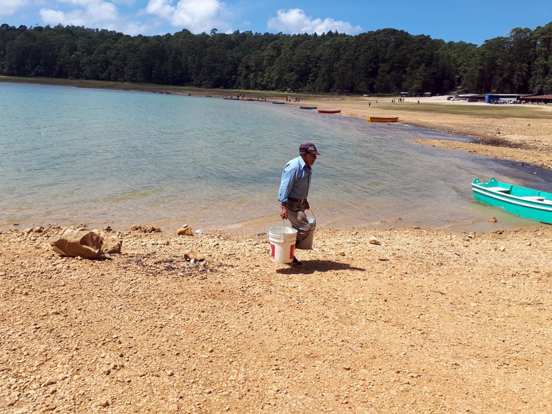 P006 Recurso indispensable