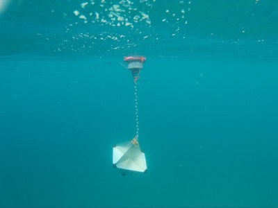 P022 Corrents amb energia