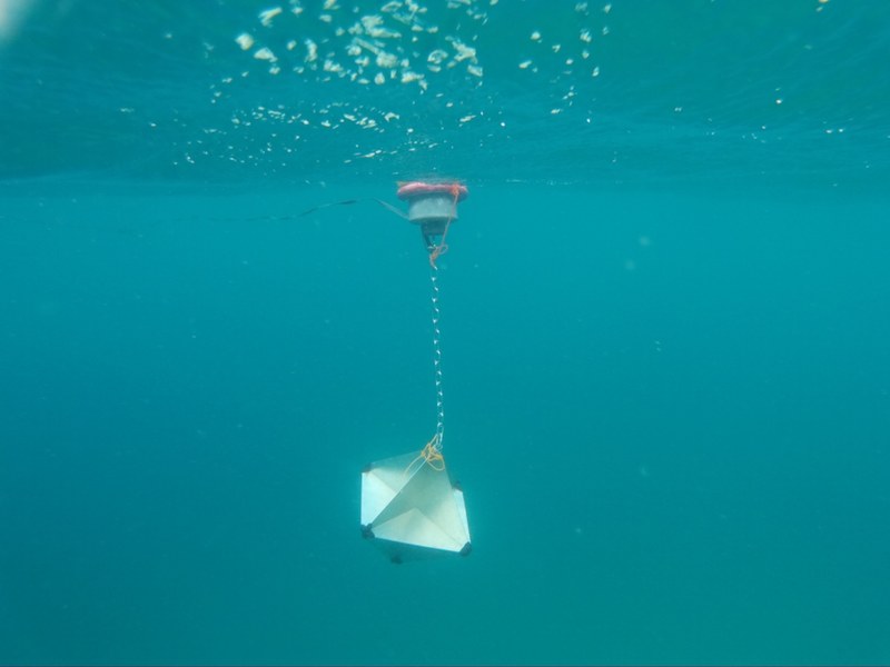 P022 Corrents amb energia