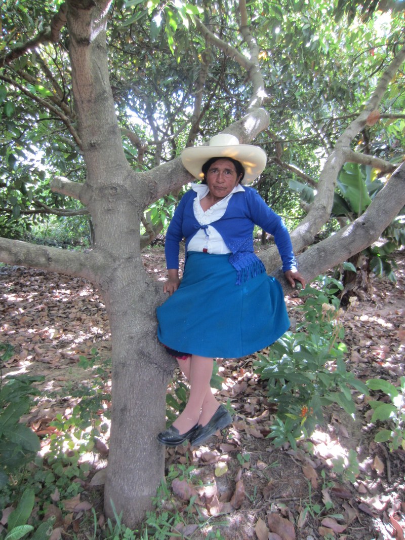 P031 Guerrera Ambiental