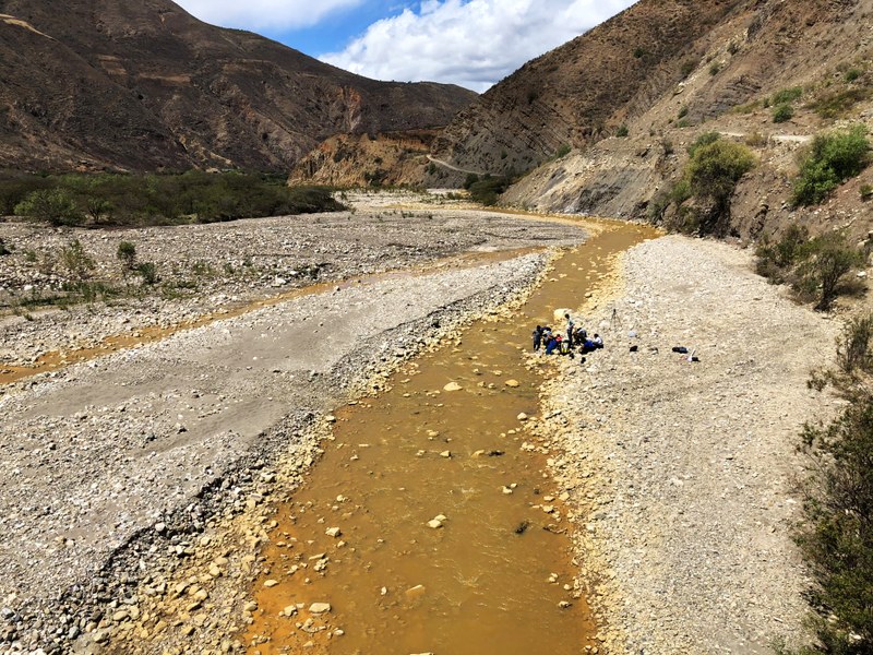 P049 El color de la negligencia