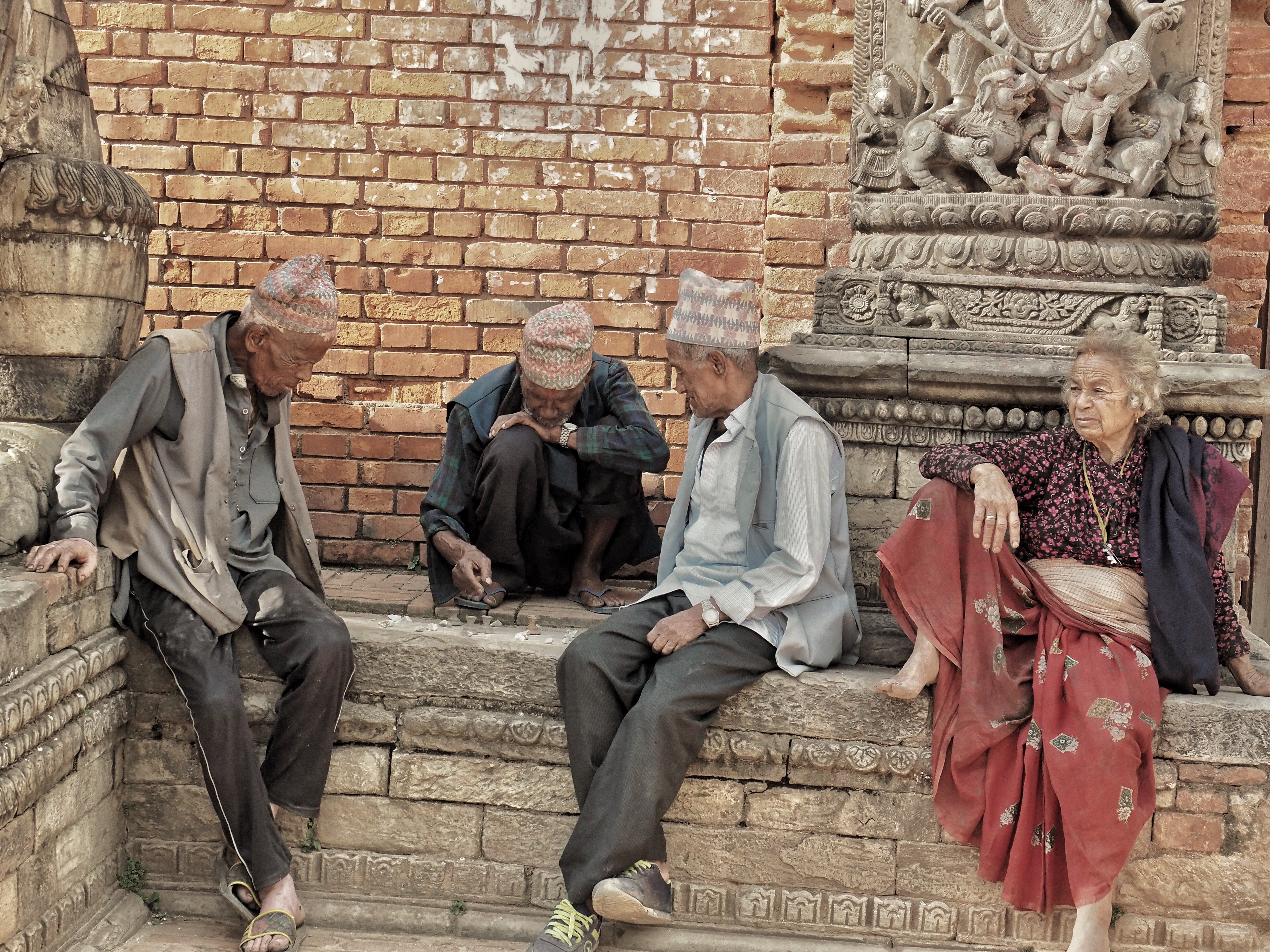 R002 L'oci és masculí