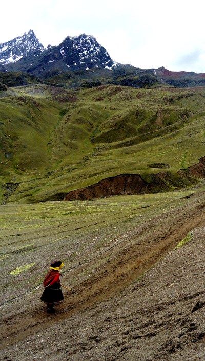 R036 Mujeres Andinas