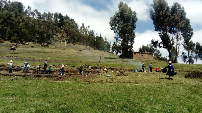 R037 Trabajo colectivo, la minga campesina