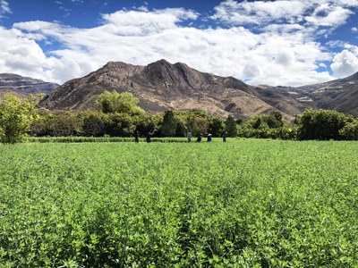 R067 Vida en el campo
