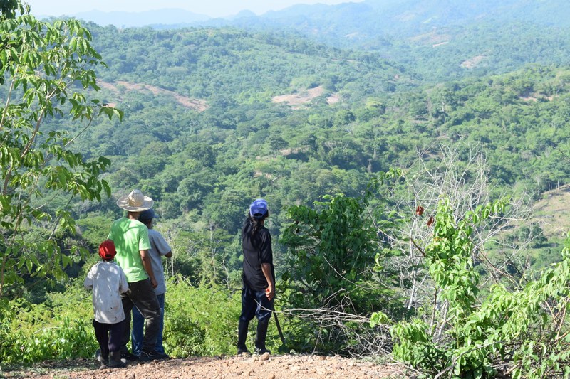 R045 La sierra de Perijá. Alejandro López González