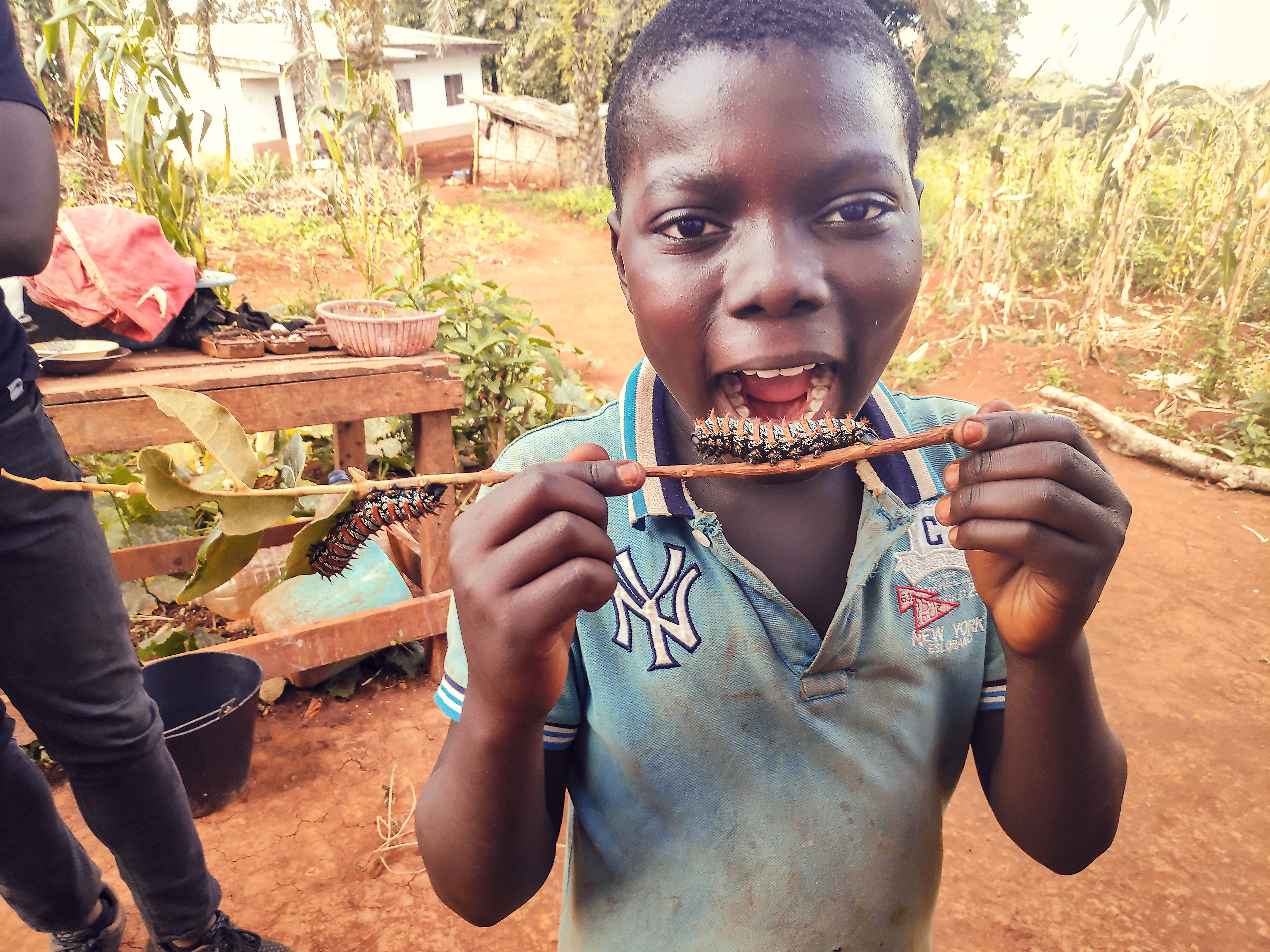 R058 Yumi. Sergi Ortega Ruiz