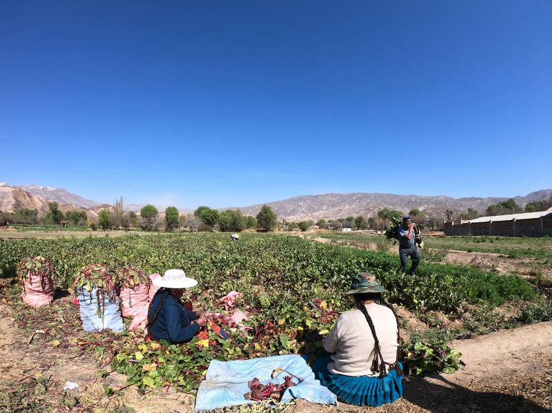 R089 Ayni. Iván Horue Ferrero