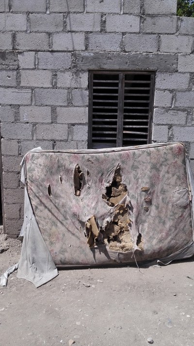 226-R Un petit canvi. Carlota Comellas