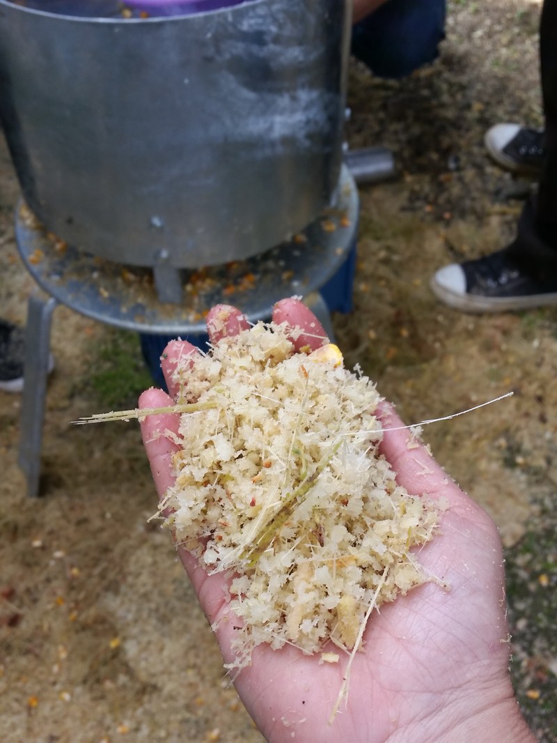 015P El resultat. Elena Blanco Romero