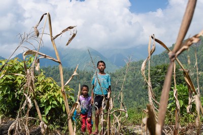 031P Purnima, la que ens espera..., Hector Escudero Leiva