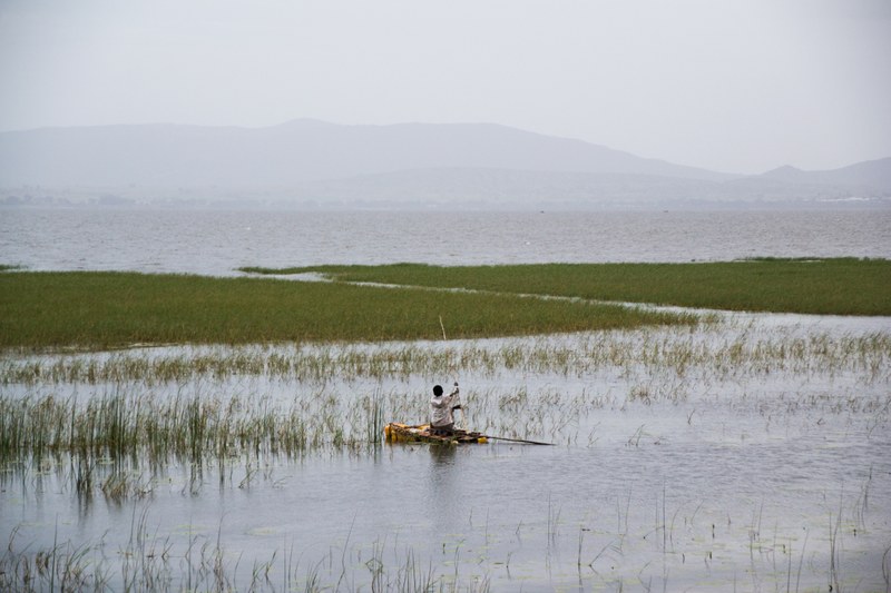 030R La vida eterna. Juan Diego Higa