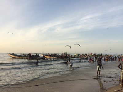 046R Mercat del peix a Tanji. Jordi Voltas Aguilar