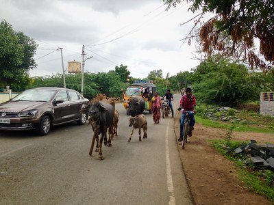 197R Diferents ritmes. Claudia Font Marques
