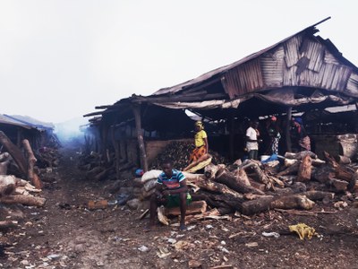 247R Peix sec. Clara Pumarega