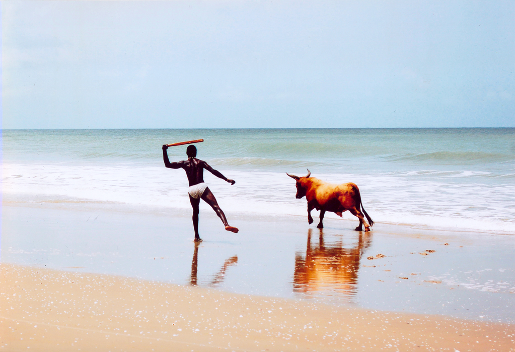 BR_Menció especial Realitat_El pagès del mar.jpg