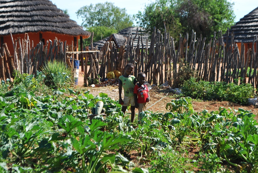 006P Bubu Ncube. Carbassons per sopar. Anna Sanz