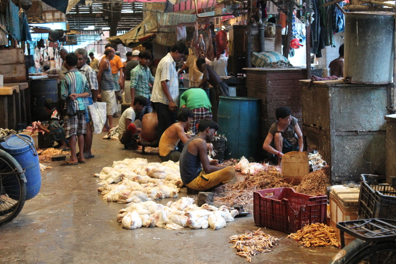 112R El dia a dia del mercat. Sara Llobera