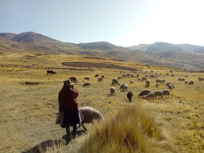 R065 Un día cualquiera en la sierra de Huancavelica. Laura Vinardell Magre