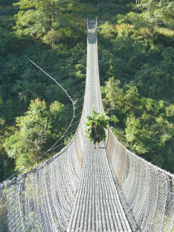 201-R Qui passa pel pont. Alba Corbella