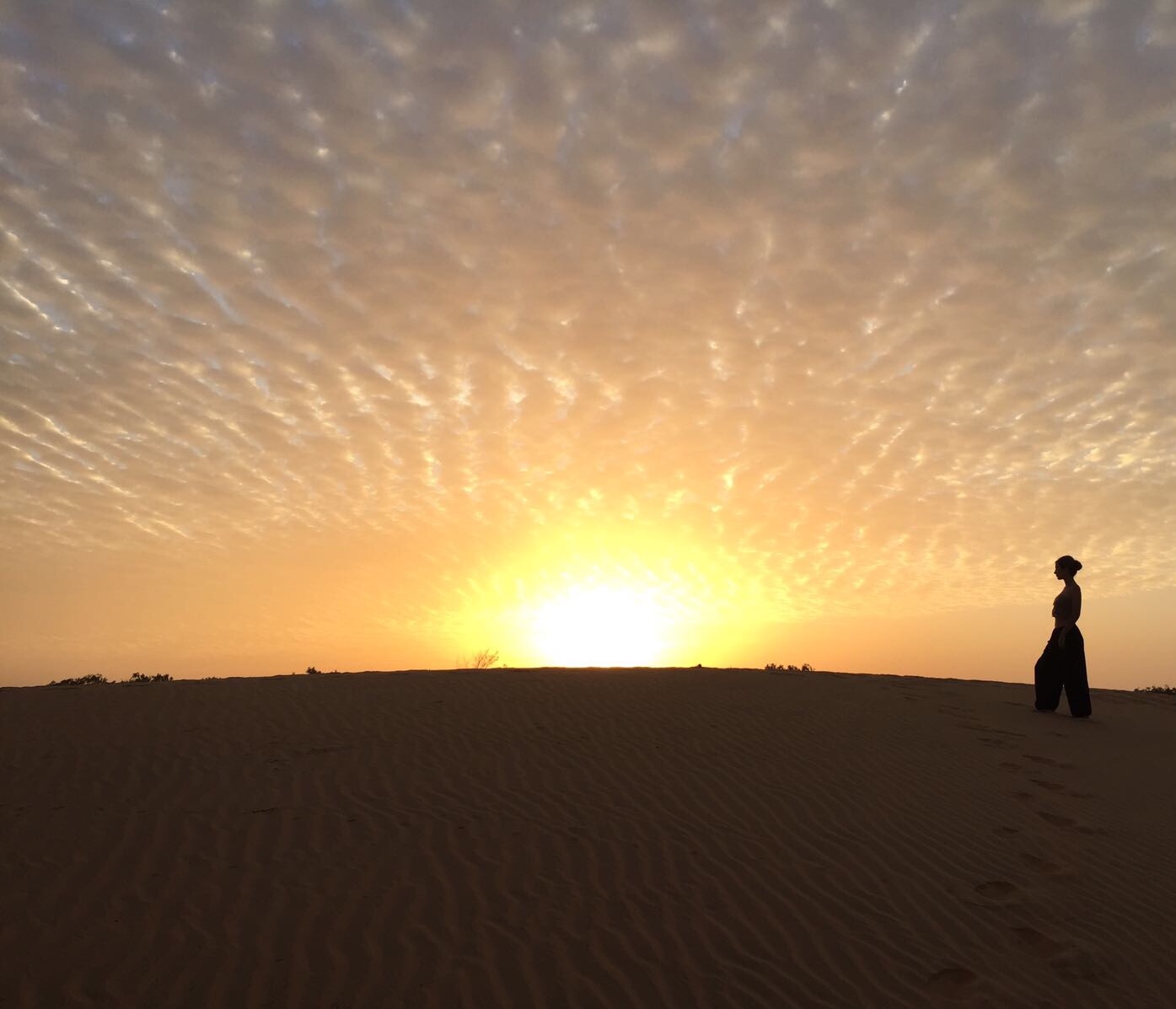 079R Matinada al desert. Violeta García Sotos