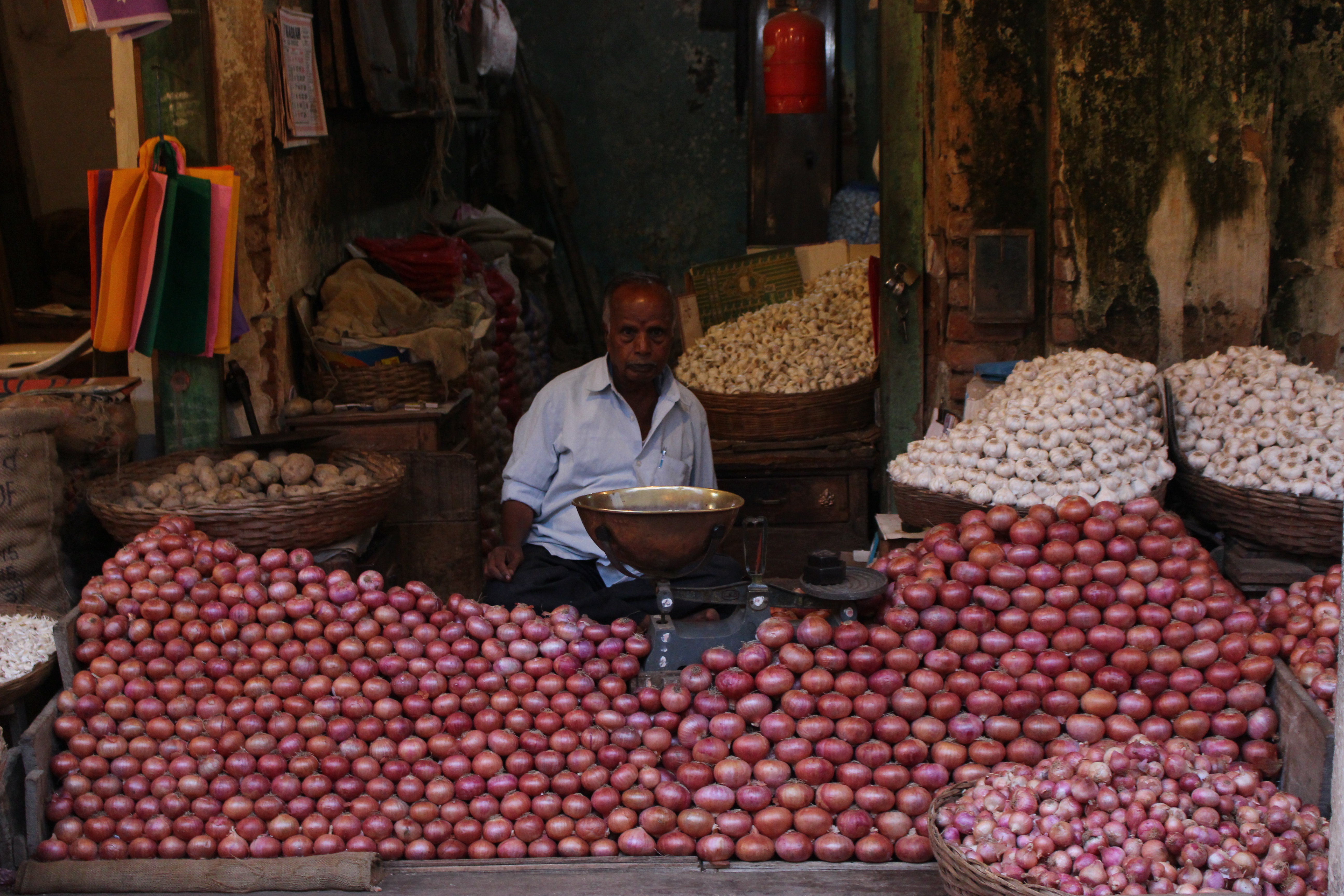 120R Cebes, alls i patates. Vidal Conejo García