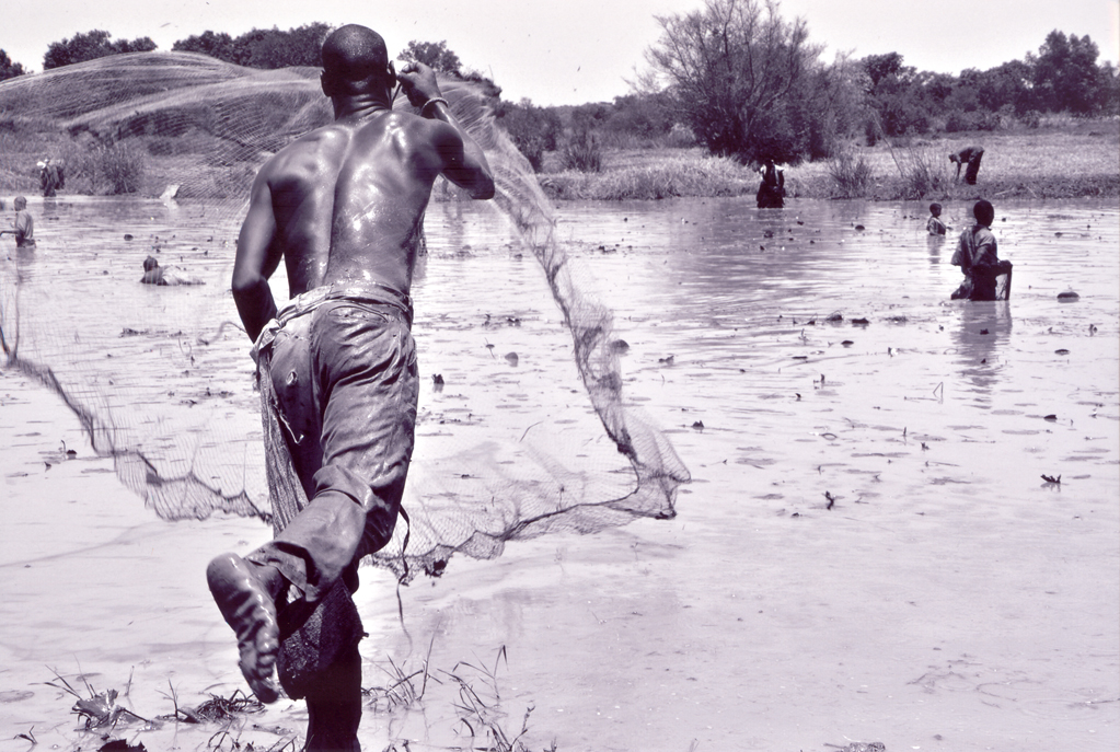 2-h_pesca amb xarxa.jpg 2-h_pesca amb xarxa.jpg