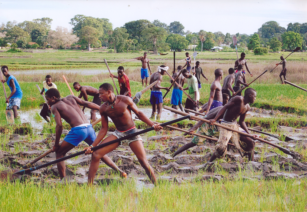 BR_1r premi Projecte_Lluita de Kanyandús.jpg BR_1r premi Projecte_Lluita de Kanyandús.jpg