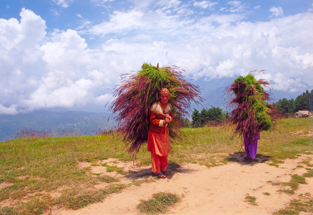 BR_2n premi Realitat_Trabajar en el Himalaua.jpg BR_2n premi Realitat_Trabajar en el Himalaua.jpg