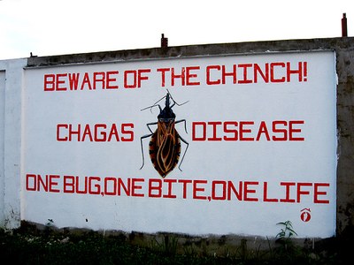 Col·laboració amb la OMS per al disseny d'un sistema de vigilància de la malaltia de Chagas