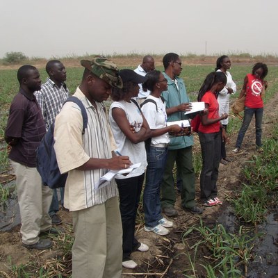 Màster Desenvolupament Rural i Cooperació a la Universitat de Saint Louis, Senegal