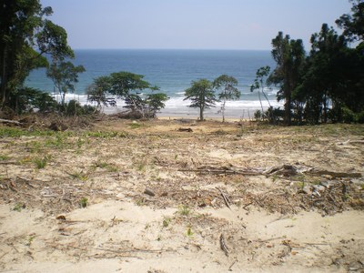 Projecte d'agricultura a Guinea Equatorial