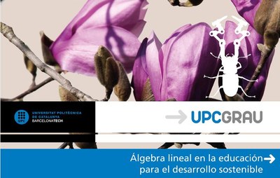 Publicació: Álgebra lineal en la educación para el desarrollo sostenible