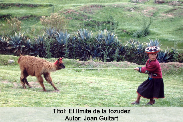 El límite de la tozudez