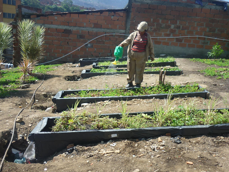 colombia morro de moravia jardin